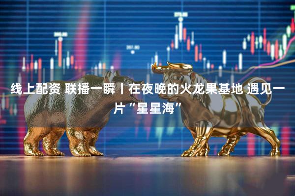线上配资 联播一瞬丨在夜晚的火龙果基地 遇见一片“星星海”