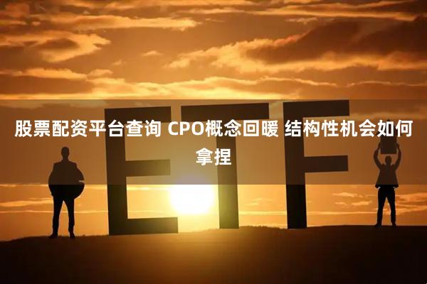 股票配资平台查询 CPO概念回暖 结构性机会如何拿捏