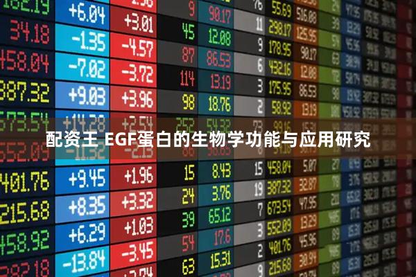 配资王 EGF蛋白的生物学功能与应用研究