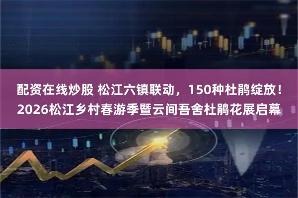 配资在线炒股 松江六镇联动，150种杜鹃绽放！2026松江乡村春游季暨云间吾舍杜鹃花展启幕